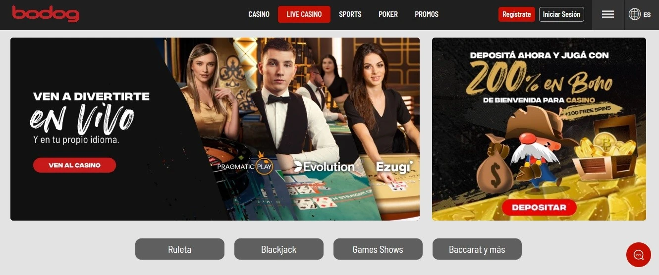 Bodog casino Bodog casino