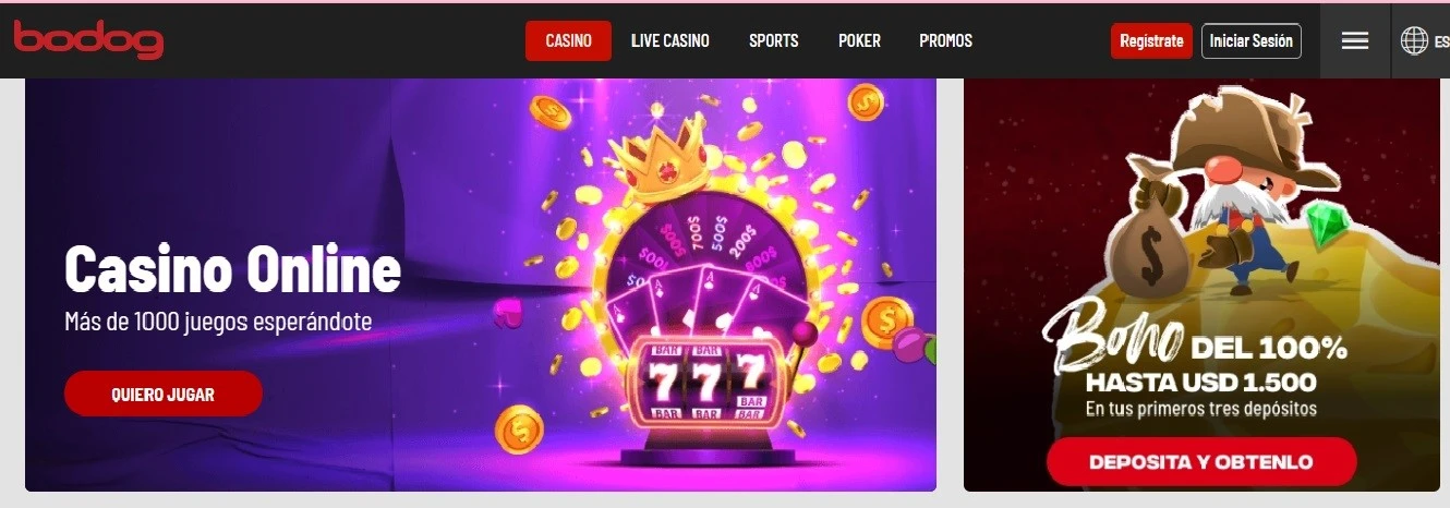Bodog casino Bodog casino