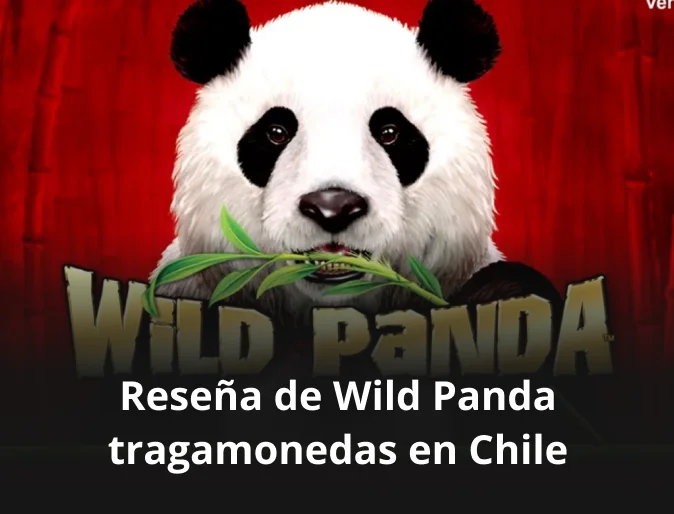 resenas de wild panda tragamonedas en chile